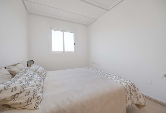 Obra nueva - Apartamento / piso - San Fulgencio