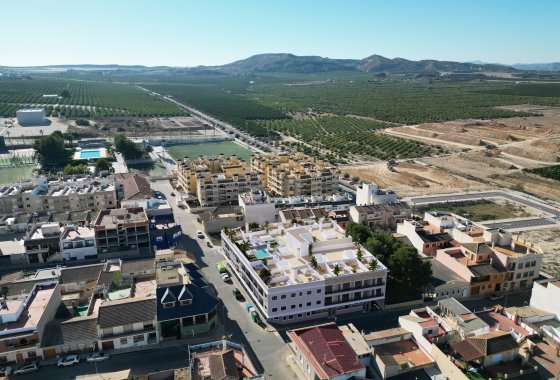 Obra nueva - Apartamento / piso - Algorfa