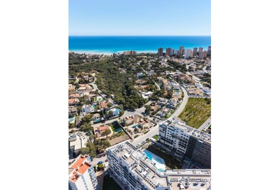 New Build - Villa - Dehesa de Campoamor
