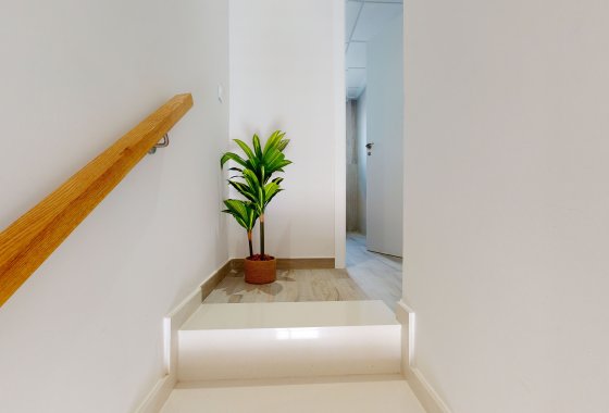 Obra nueva - Apartamento / piso - Pilar de la Horadada