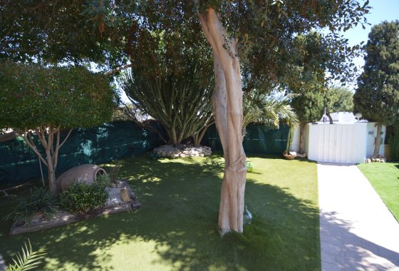 Reventa - Villa - Torrevieja - Torreta