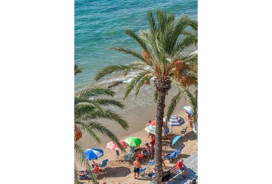 Reventa - Apartamento / piso - Torrevieja