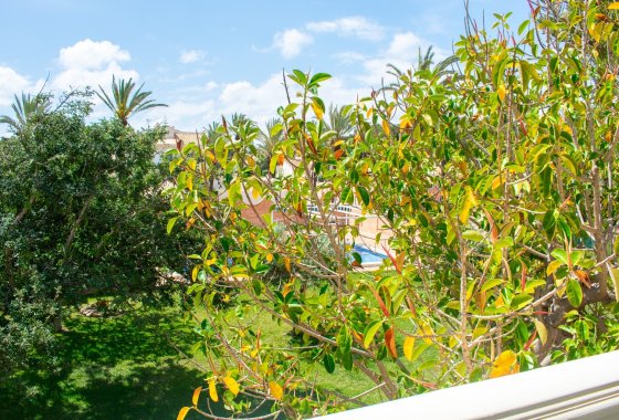 Reventa - Villa - Orihuela Costa - MUY CERCA DE LA PLAYA
