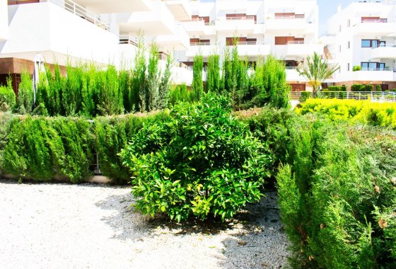 Återförsäljning - Lägenhet / lägenhet - Orihuela Costa - Cabo Roig