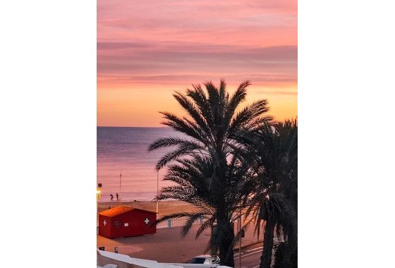 Resale - Apartment / flat - Torrevieja