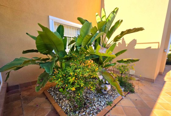 Reventa - Villa - Torrevieja - Cabo Cervera