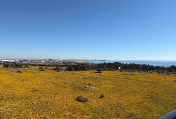 Återförsäljning - Lägenhet / lägenhet - Orihuela Costa - Punta Prima
