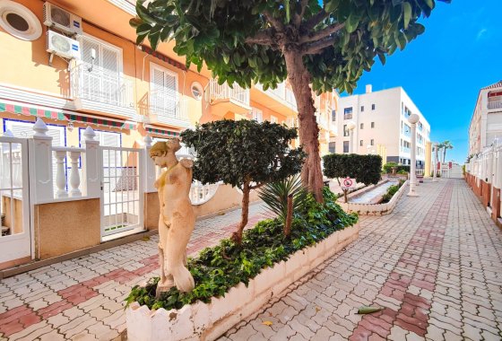 Reventa - Apartamento / piso - Torrevieja - La Mata