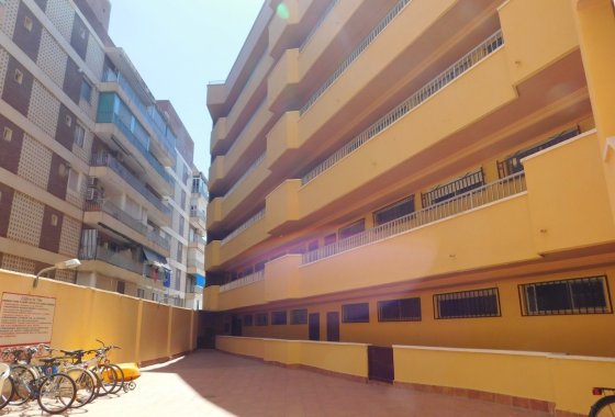Återförsäljning - Lägenhet / lägenhet - Torrevieja