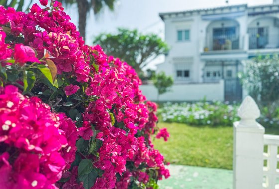 Reventa - Adosado - Torrevieja - Lago Jardin