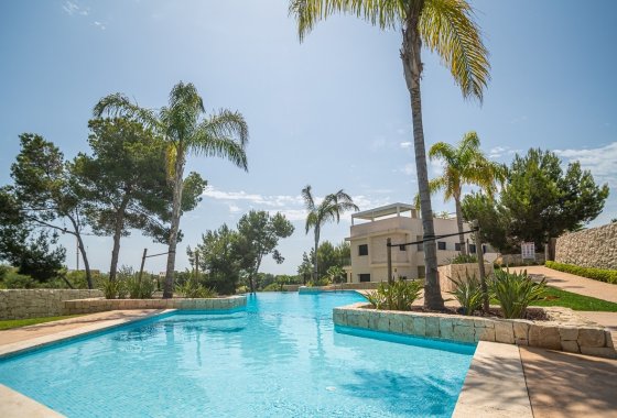 Reventa - Apartamento / piso - Pilar de la Horadada - Lo Romero Golf