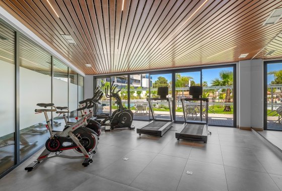 Resale - Apartment / flat - Dehesa de Campoamor - Dehesa de campoamor