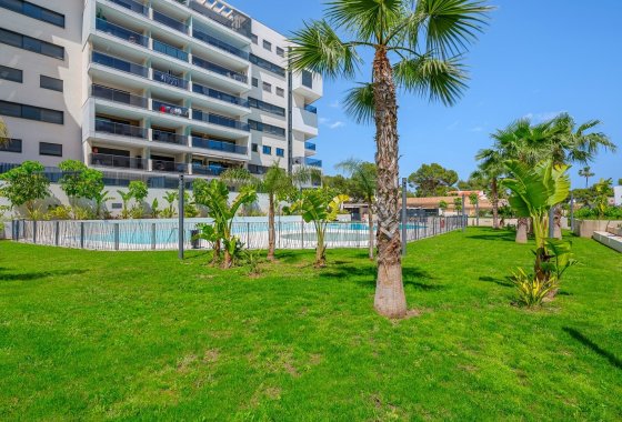 Resale - Apartment / flat - Dehesa de Campoamor - Dehesa de campoamor