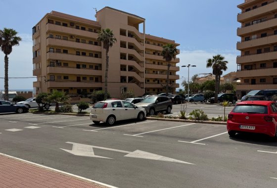 Reventa - Apartamento / piso - Torrevieja - Torrevieja>Cabo Cervera