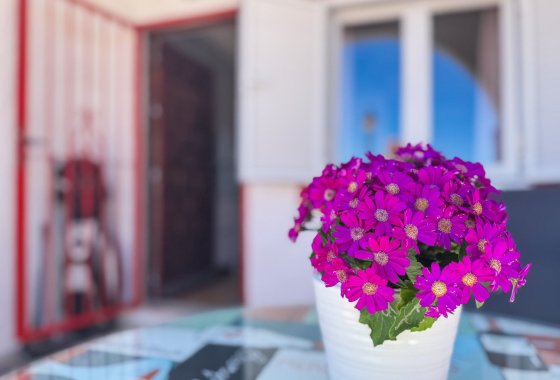Reventa - Apartamento / piso - Torrevieja - Cabo Cervera