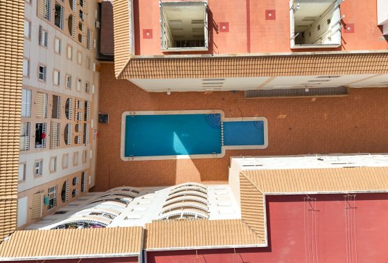 Reventa - Apartamento / piso - Torrevieja - El molino
