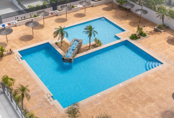 Reventa - Apartamento / piso - Pilar de la Horadada - Mil Palmeras