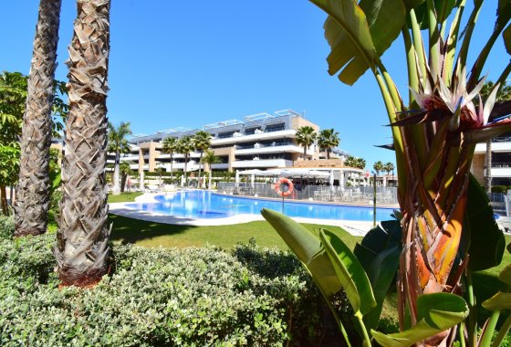 Reventa - Apartamento / piso - Orihuela Costa - Playa Flamenca