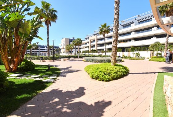 Reventa - Apartamento / piso - Orihuela Costa - Playa Flamenca