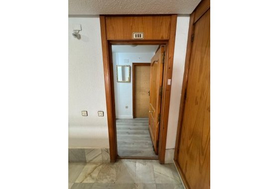 Reventa - Estudio - Torrevieja - Playa de Los Locos-Curva del Palangre