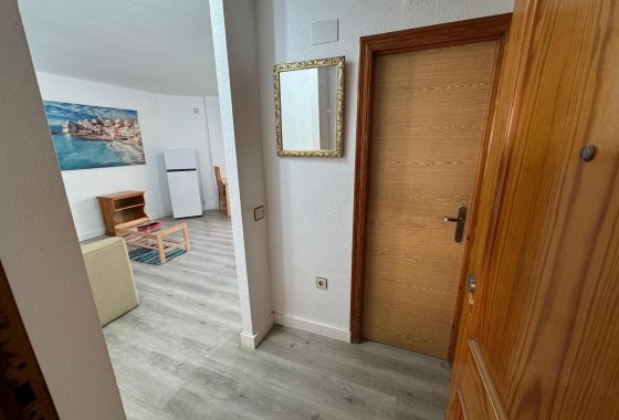 Reventa - Estudio - Torrevieja - Playa de Los Locos-Curva del Palangre