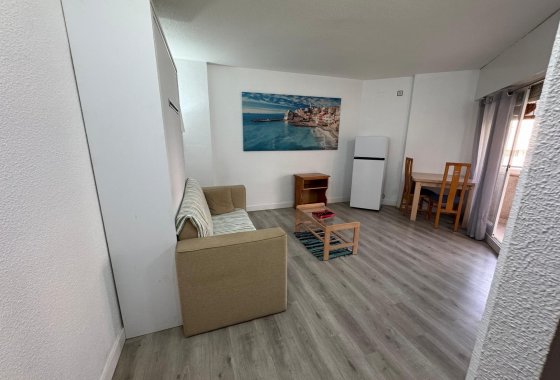 Reventa - Estudio - Torrevieja - Playa de Los Locos-Curva del Palangre