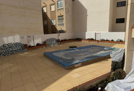 Reventa - Estudio - Torrevieja - Playa de Los Locos-Curva del Palangre