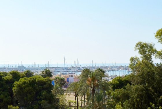 Reventa - Apartamento / piso - Torrevieja - Playa del Acequión