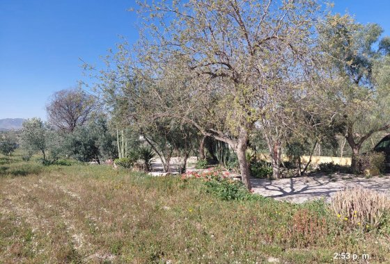 Reventa - Parcela / Terreno - Novelda