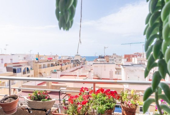 Reventa - Apartamento / piso - Torrevieja - Centro