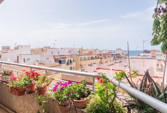 Reventa - Apartamento / piso - Torrevieja - Centro
