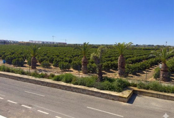 Reventa - Apartamento / piso - Torrevieja - Los Balcones