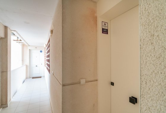 Reventa - Apartamento / piso - Guardamar del Segura - Guardamar Playa