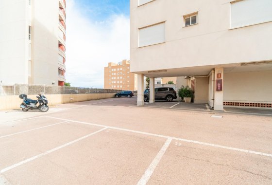 Reventa - Apartamento / piso - Guardamar del Segura - Guardamar Playa