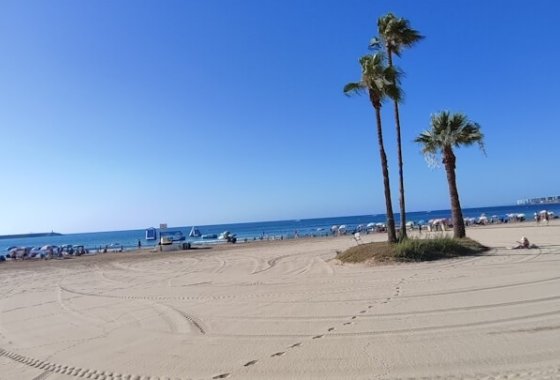 Reventa - Apartamento / piso - Torrevieja - playa de los naufragos