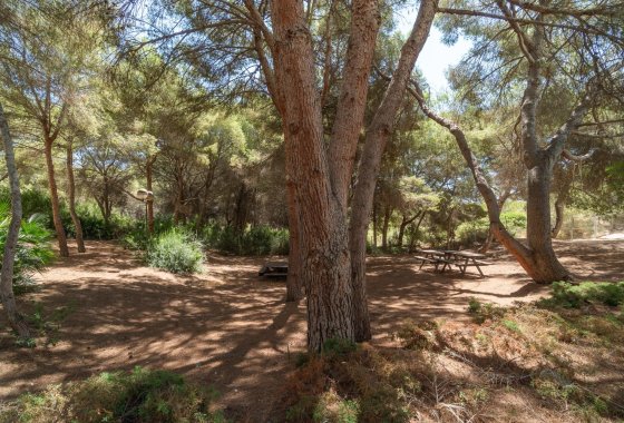 Resale - Apartment / flat - Orihuela Costa - Altos de Campoamor