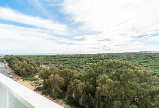 Reventa - Apartamento / piso - Guardamar del Segura - Guardamar