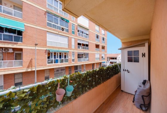 Reventa - Apartamento / piso - Torrevieja - playa de los naufragos