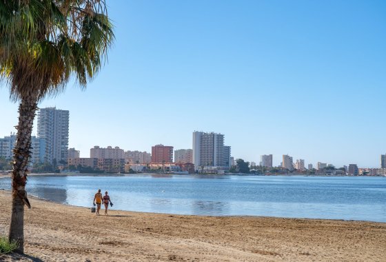 Obra nueva - Bungalow - La Manga Club