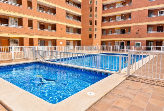 Reventa - Apartamento / piso - Torrevieja - playa de los naufragos