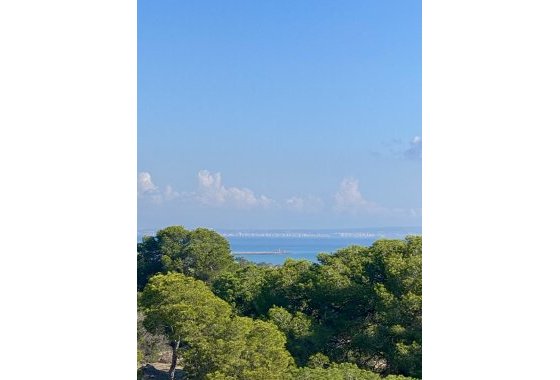New Build - Apartment / flat - Guardamar del Segura