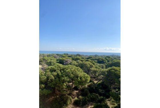 New Build - Atico - Guardamar del Segura