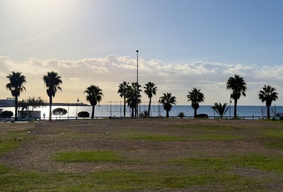 Reventa - Apartament / Duplex - Torrevieja - Playa Los Naufragos