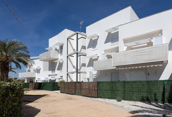 Obra nueva - Apartamento / piso - Vera