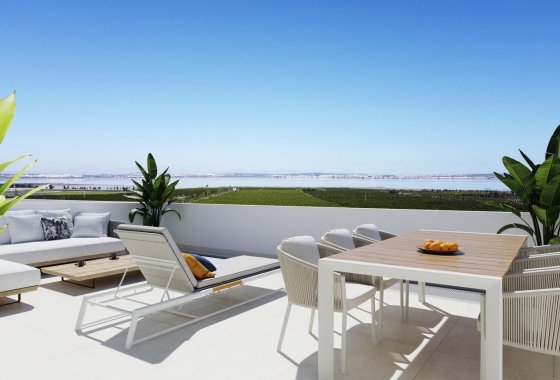 Obra nueva - Atico - Torrevieja