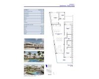 Obra nueva - Apartamento / piso - Pilar de la Horadada